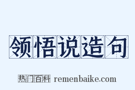 领悟说造句是什么意思的图片